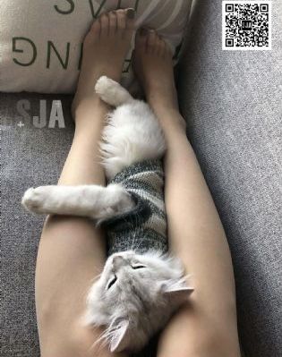 星星的故乡_电视剧完整版在线观看