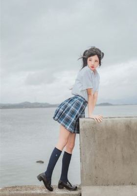 少帅 电视剧_DVD在线观看电视