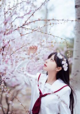 年轻的嫂子神马_电视剧在线观看