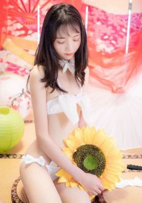 电视剧甜蜜蜜26集免费下载_DVD免费电视剧